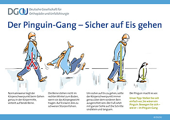 Schaubild Pinguin-Gang